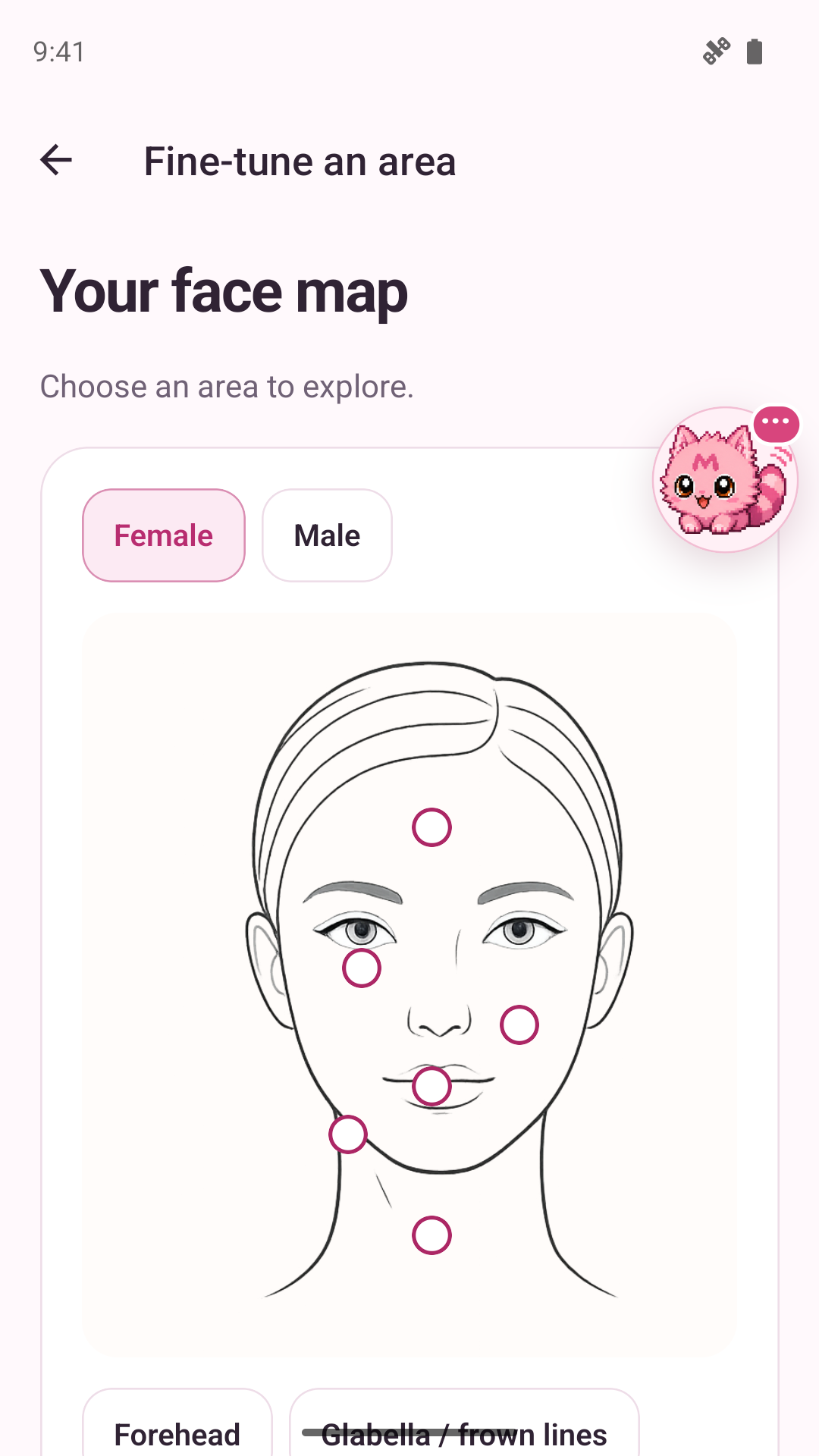 An interactive face map for exploring concerns by facial area.